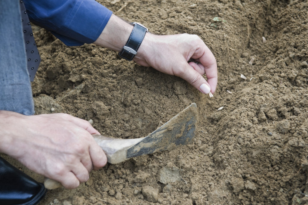hand seeding faith