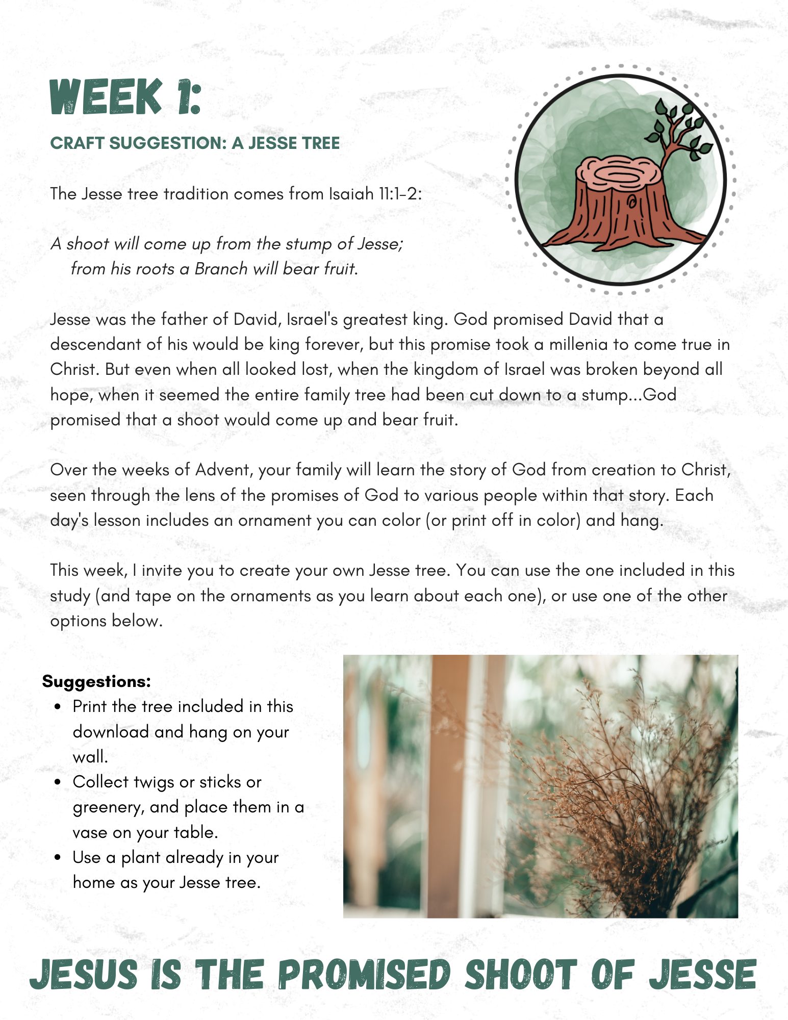 All God's Promises (Family Bible Study) - Image 6