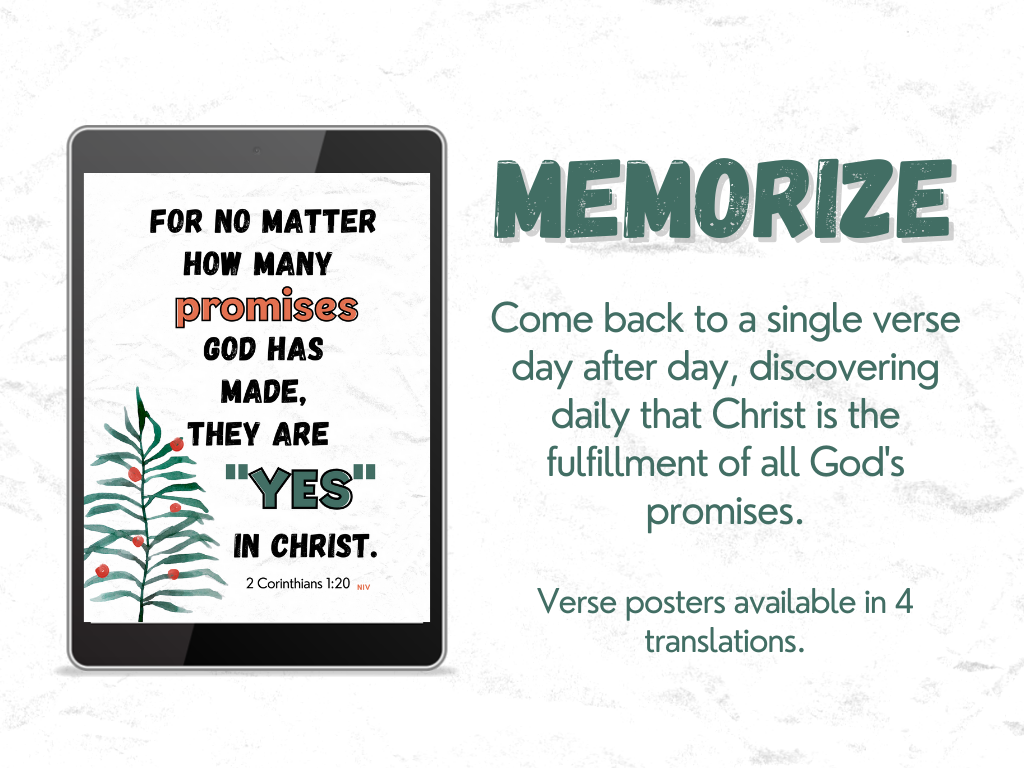 All God's Promises (Family Bible Study) - Image 5