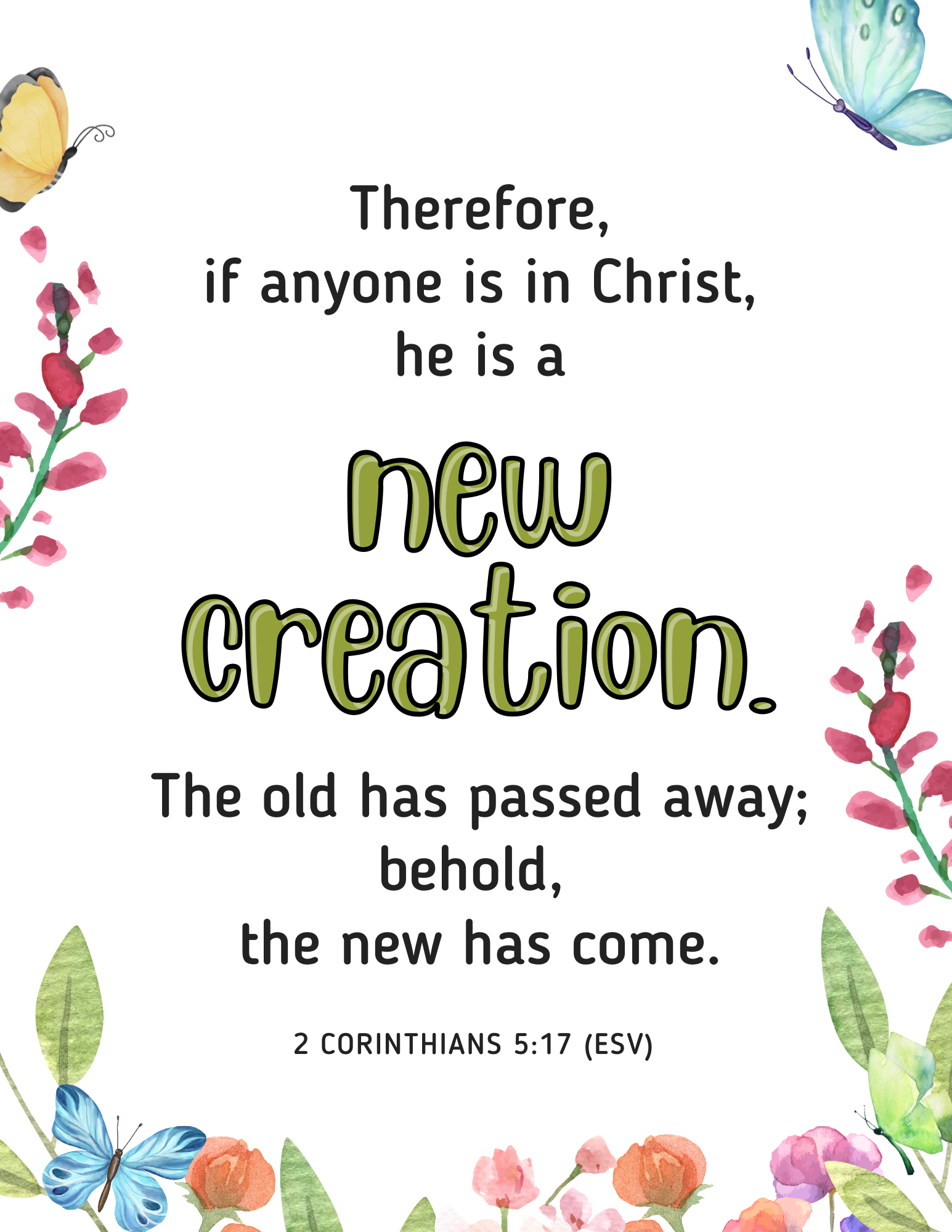 New Creation: Understanding Your Identity in Christ JOURNAL - Image 2