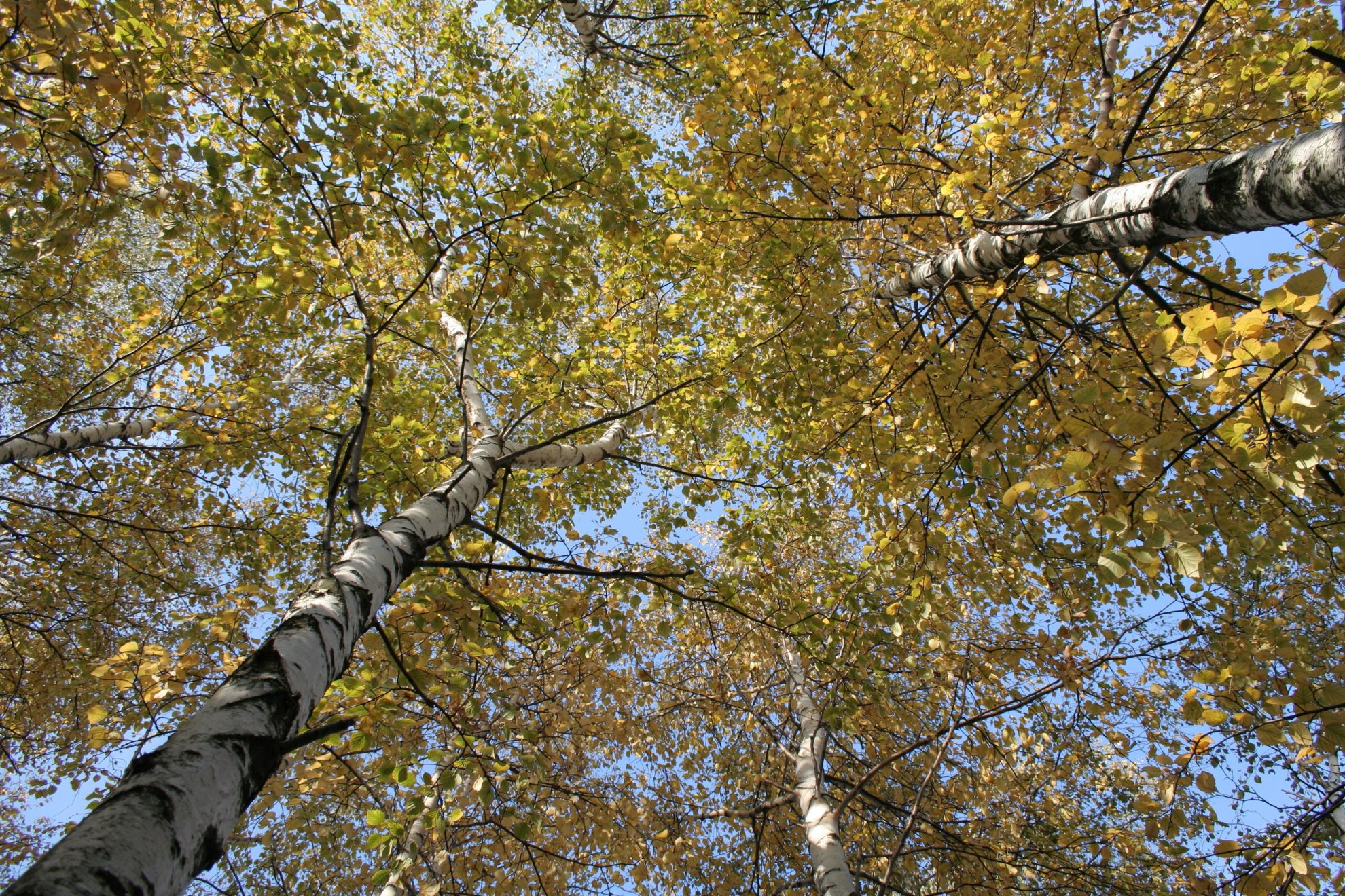 Connecting With God Through Nature