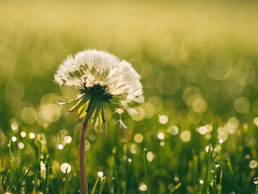The secret to true inner peace
