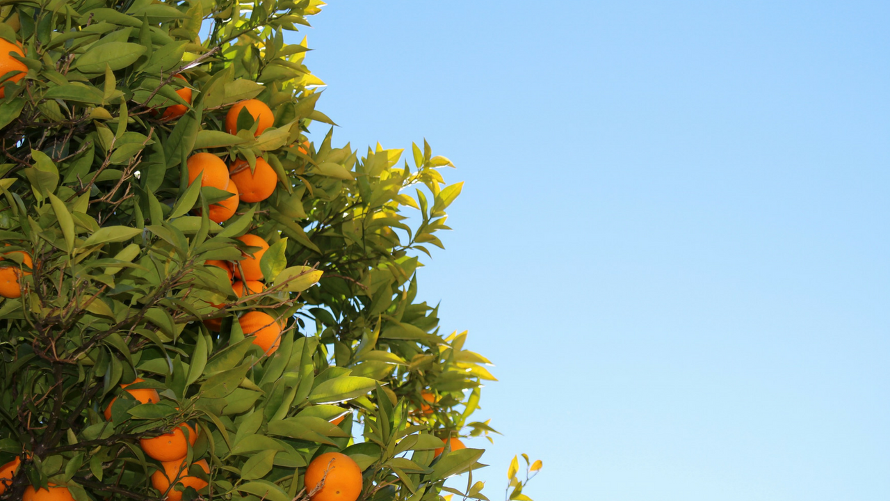 5 growth stages as a family of faith