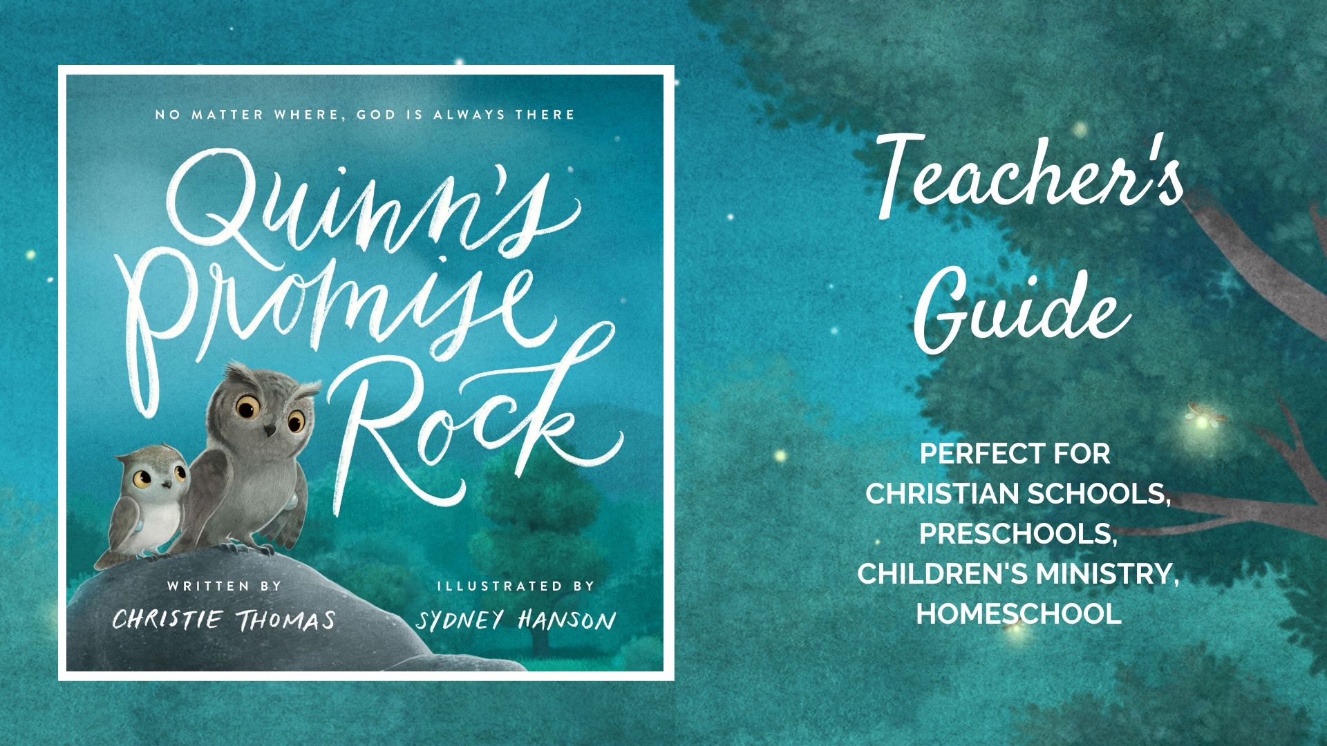 Teachers-guide-graphic Quinn's Promise Rock teacher's guide